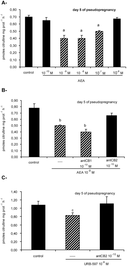 Effect of AEA on NOS activity on day 5 of pseudopregnancy.(A) Concentration-response curve of anandamide (AEA). (B) Effect of selective cannabinoid receptors antagonists on AEA inhibitory action. (C) Effect of URB-597 (a selective inhibitor of FAAH, the enzyme that degrades AEA) and selective cannabinoid receptors antagonists. NOS activity is expressed as pmoles citrulline mg prot−1 h−1. a: p<0,001 vs the rest, b: p<0.001 vs the rest, c: p<0.05 vs the rest. N = 4–6 for each point. antCB1: CB1 selective antagonist (SR141716A), antCB2: CB2 selective antagonist (SR144528).