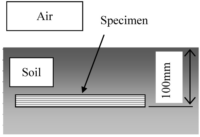 Schematic illustration of the biodegradable test (Condition 1).