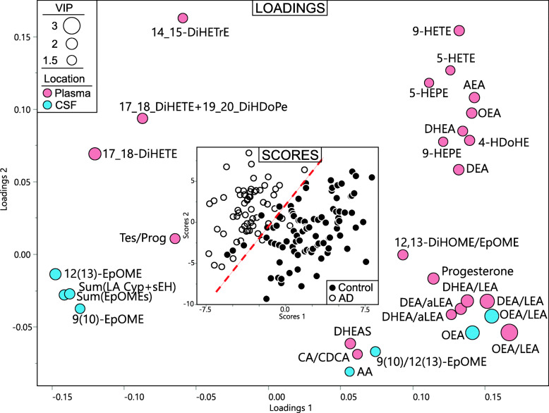 Relation between plasma and CSF predictors of AD. Partial least square discriminant analysis (PLS-DA) of AD vs control, utilizing metabolites from both plasma and CSF in predicted fasted samples. Treatment group discrimination is shown by the SCORES (inset) with a plain of discrimination indicated by a dashed red line, while metabolites weighting in group discrimination are shown by the LOADINGS. Loading node color indicates metabolite origin (pink for plasma and blue for CSF). Loading node size indicates metabolite variable importance in projection (i.e., VIP). Analysis was performed with all measured metabolites, including specific ratios, but only those with VIP ≥ 1.4 are displayed for clarity purpose