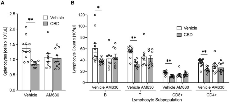 Leukocyte and lymphocyte numbers in the spleen after administration of CBD (5 mg/kg) and pretreatment with CB2 receptor selective antagonist AM630 (1 mg/kg). (a) Total splenic leukocyte number, (b) total number of splenocyte subsets: B, T, T CD8+, and T CD4. Two-way ANOVA followed by Tukey’s post hoc test.Data presented as means ± SEM, n = 8–11 per group.CBD: cannabidiol.*p < 0.05. **p < 0.01.