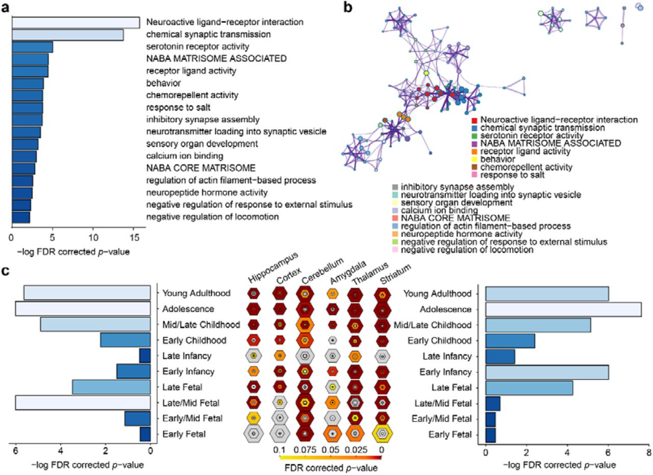 Biological pathways and development enrichment analysis on the important gene list of Set 2 for the lLG.