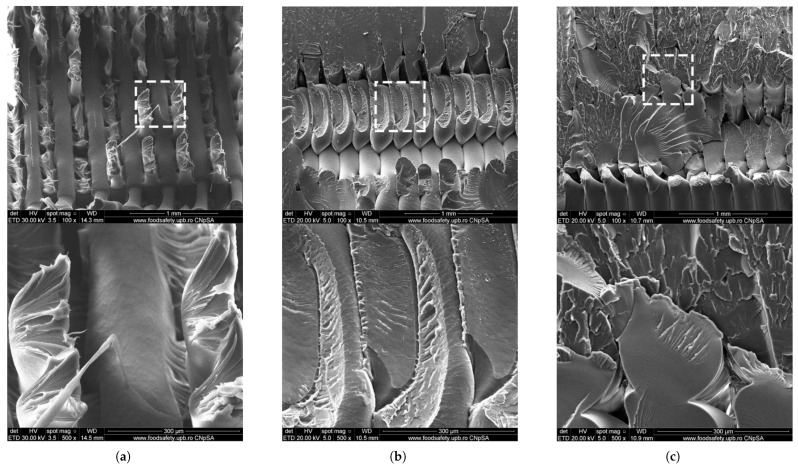 SEM micrographs demonstrating the catastrophic effect of high-energy UV-C radiation on FFF-printed PETG: (a) reference sample; (b) brittle fracture plane after 24h UV-C exposure; (c) severe material flaking at the rupture interface. The main technical conclusion is that “UV resistance” is highly wavelength-specific. While PETG is robust against general weathering (sunlight), it is entirely unsuitable for applications requiring germicidal UV-C sterilization, which causes profound embrittlement and morphological damage, leading to a high risk of premature failure [85].