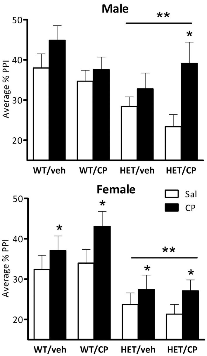 Average percentage PPI in the four treatment groups: WT/veh, WT/CP, HET/veh, and HET/CP in both sexes. All groups were administered saline (Sal; open bars) and 0.4 mg/kg CP55,940 (CP; black bars) before the PPI test. HET mice had significantly lower PPI after saline injection compared to wild-type controls. Acute CP treatment increased PPI in male “two hit” mice and in all female groups. *P < 0.05 for difference with acute saline based on genotype × acute treatment interaction and post-hoc comparisons (males) or main ANOVA effect (females). **P < 0.05 for difference between HET mice and wild-type controls based on ANOVA main effect.
