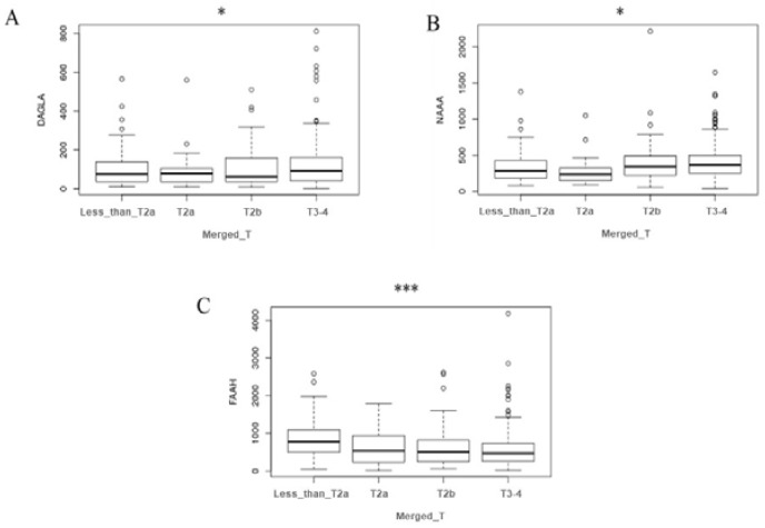Analysis of endocannabinoid system components expression in patients with bladder cancer. In silico gene expression analysis of DAGLA (A), NAAA (B), and FAAH (C) throughout bladder cancer stages from TGCA dataset. Data are expressed as reads per kilobase million (RPKM) and box-and-whisker plots showing minimum, 25th percentile, 50th percentile (median), 75th percentile, and maximum values of the percentage. The expression difference among stages was evaluated by performing an ANOVA test. * p < 0.5; *** p < 0.001.