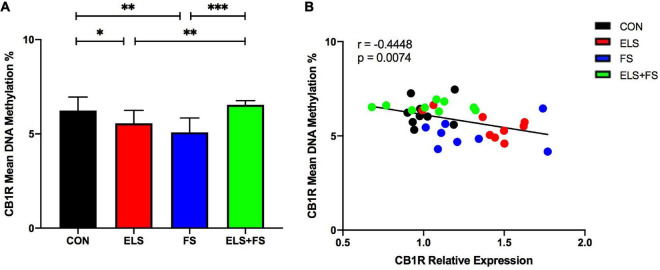 ELS and FS reduce mean DNA methylation levels of the analyzed 11 CpG sites within the promoter region of the CB1R gene. DNA methylation levels are depicted as mean ± SD (A). Significant results of SNK post-hoc test are indicated as *p ≤ 0.05, **p ≤ 0.01, and ***p ≤ 0.001. Mean DNA-methylation was negatively correlated with CB1R expression in the mPFC of the analyzed experimental groups, **p ≤ 0.01 (B). CON, control (n = 9); ELS, early life stress (n = 9); FS, forced swimming (n = 8); ELS + FS, early life stress + forced swimming (n = 9).