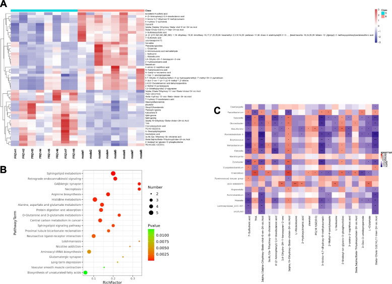 Heat map (A), scatterplot (B), and Pearson correlation analysis (C) of significantly differential metabolites enriched KEGG pathways regulated by FRZ-H for 10 weeks. A In the heat map, the x axis indicates the sample name, and the y axis indicates the differential metabolite. Low and high abundance of metabolites is indicated in blue and red, respectively. B The numbers of metabolites are indicated by the dot size in the scatterplot. C Pearson correlation analysis between fecal metabolites and microbial genera after of high dose of FRZ administration for 10 weeks; * P < 0.05, ** P < 0.01 and *** P < 0.001