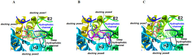 Selection of eight representative AEA docking poses from AutoDock docking poses.(A) AEA docking pose Group 1: docking pose1 (in cyan), docking pose2 (in green) and docking pose3 (in orange). (B) AEA docking pose Group 2: docking pose4 (in magenta), docking pose5 (in cyan) and docking pose6 (in purple). (C) AEA docking pose Group 3: docking pose7 (in orange) and docking pose8 (in green).