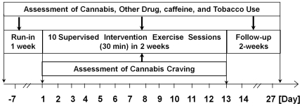 Experimental design.The study included Run-In (1 week), Exercise intervention (10 daily 30-minute treadmill sessions in ∼2 weeks), and Follow-Up (2 weeks) periods. Cannabis, other drug, caffeine and tobacco use were assessed from self-reports during all study periods. Cannabis craving was assessed pre- and-post each exercise session after viewing cannabis-related visual cues.