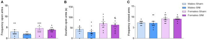 Elevated plus maze. Investigation of anxiety-related behaviours in male and female rats following Sham and Spared Nerve Injury surgery. Frequency of open arms exploration (A), duration of open arms exploration (s) (B), frequency of closed arms exploration (C) at post-surgery day 35. All the behaviours were analysed during the 5 min trial. Data expressed as mean ± SEM (n = 10 rats per group).