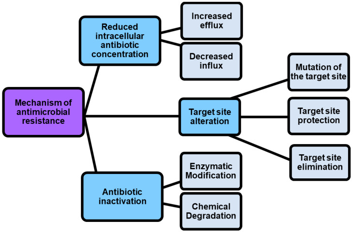 Mechanisms by which pathogens can become resistant.
