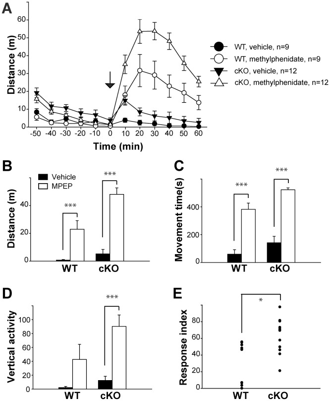 Enhanced activity levels in the open field assay for Cx-mGlu5 mice after methylphenidate administration.(A) Total distance traveled is presented in 10-minute time bins before and after vehicle or methylphenidate injection, ‘0′ represents injection time (arrow). (B) Total distance traveled (WT: vehicle = 0.74±0.42 m, methylphenidate = 22.91±6.27 m; KO: vehicle = 5.25±3.16 m, methylphenidate = 48.08±4.63 m), (C) movement time (WT: vehicle = 59.38±32.02 s, methylphenidate = 382.74±44.53 s; KO: vehicle = 141.89±46.33 s, methylphenidate = 522.93±13.73 s), and (D) vertical activity (WT: vehicle = 2.11±0.11, methylphenidate = 42.78±21.66; KO: vehicle = 12.42±6.03, methylphenidate = 90.33±16.36) are summarized as a 10-minute time bin, 31–40 minute after injection. (E) Summaries of response index for fold changes in distance travelled triggered by methylphenidate (WT = 30.67±8.39, KO = 64.36±6.20). Data are presented as mean ± SEM.