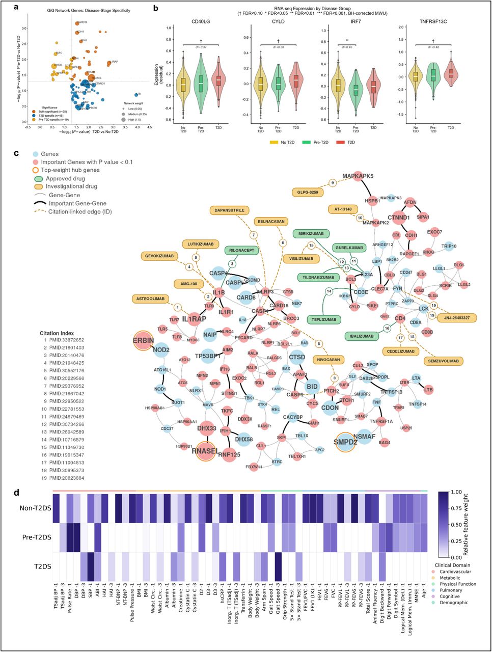 a. Disease-stage specificity of GiG network genes across T2D progression, stratified by expression significance. b. Residual RNA-seq expression distributions of four representative high-weight genes across no T2D, pre-T2D, and T2D groups. c. Drug-augmented GiG core network of T2D-focused overlay. Validated target-drug evidence from the final drug-evidence ledger is projected onto the T2D-focused GiG core network derived from Figure 2a. The original gene-gene topology and node-significance encoding are preserved, while drug nodes and target-drug links are added as an overlay. Citation-linked edges are shown as dashed lines, and edge ID labels map to PubMed citations in the in-figure Citation Index. The final overlay contains 21 target-drug edges across 13 core-network targets and 19 drug nodes, with approved and investigational drugs displayed using distinct node styles. d. Top phenotypic biomarkers across t2ds, pre_t2ds, and no_t2ds subgroups, where the suffixes −1, −2, and −3 denote the bottom 5%, middle 90%, and top 5% percentile ranges of each feature group, respectively.