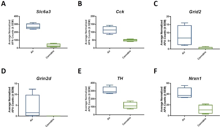 Significant pathways from the functional ontology were selected to have closer inspection of genes associated with vaporized cannabis treatment. This analysis revealed that vaporized cannabis exposure selectively reduced APA events (p-value = p < 0.01) on mRNA transcripts that regulate glutamate transmission such as (A) Slc6a3, (B) Cck, (C) Grid2, (D) Grin2d, (E) TH, and (F) Nrxn1.