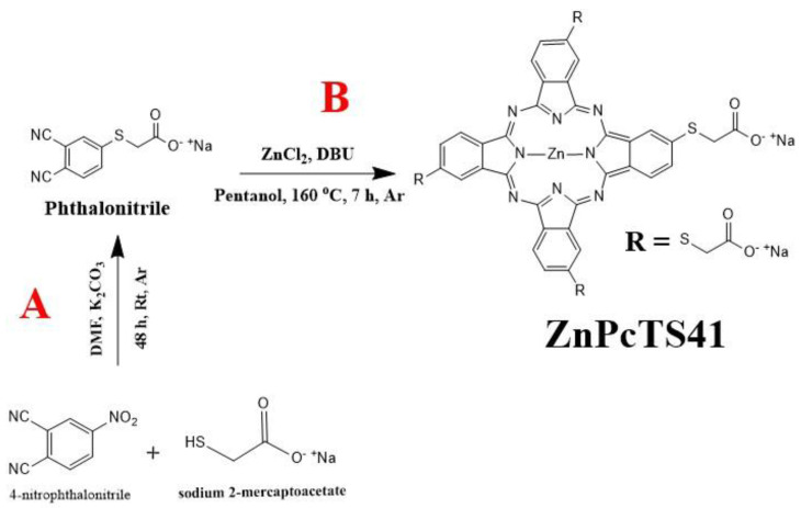 Schematic diagram illustrating the synthesis of (A) sodium 2-((2,3-dicyanophenyl)thiol)acetate (precursor phthalonitrile) and (B) synthesis of zinc (II) 2(3), 9(10), 16(17), 23(24)-tetrakis-(sodium 2-mercaptoacetate) phthalocyanines (ZnPcTS41).