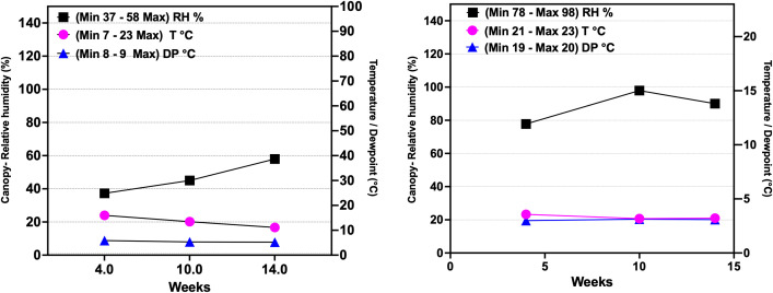 Two line graphs depict canopy relative humidity, temperature, and dew point over time. The left graph shows relative humidity between thirty-seven and fifty-eight percent, temperature between seven and twenty-three degrees Celsius, and dew point between eight and nine degrees Celsius over fourteen weeks. The right graph displays relative humidity between seventy-eight and ninety-eight percent, temperature between twenty-one and twenty-three degrees Celsius, and dew point between nineteen and twenty degrees Celsius over fifteen weeks. Each variable is represented by a different symbol.
