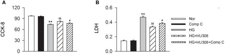 Participation of AMPK-mTOR-p70S6K axis in the cardioprotective effect of HU308 in cardiomyocytes under the challenge of HG. (A) Quantitative analysis of CCK-8 assay in murine ventricular cardiomyocytes (n = 6 per group). ∗∗P < 0.01 vs. Nor group; $$P < 0.01 vs. HG group; #P < 0.05 vs. HG+HU308 group. (B) Quantitative analysis of LDH release in murine ventricular cardiomyocytes (n = 6 per group). ∗∗P < 0.01 vs. Nor group; $$P < 0.01 vs. HG group; #P < 0.05 vs. HG+HU308 group. Nor, normal; DCM, diabetic cardiomyopathy; Comp C, compound C.