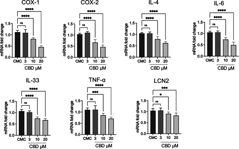 Effect of cannabidiol (CBD) on mRNA expression of inflammatory markers. Reverse transcription quantitative polymerase chain reaction (RT‐qPCR) analysis of COX‐1, COX‐2, interleukin (IL)‐4, IL‐6, IL‐33, tumour necrosis factor‐alpha (TNF‐α) and LCN2 mRNA levels in canine mammary carcinoma (CMC) cells. The data are presented as mean ± standard error of the mean (SEM). Statistical significance versus control: * p < 0.05; ** p < 0.01; *** p < 0.001; **** p < 0.0001; ns = not significant.