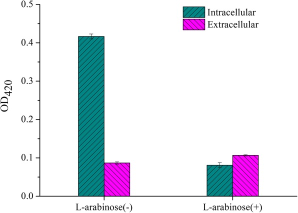 The activity of E. coli endogenous β-galactosidase. L-arabinose (−) means uninduced group; L-arabinose (+) means induced group