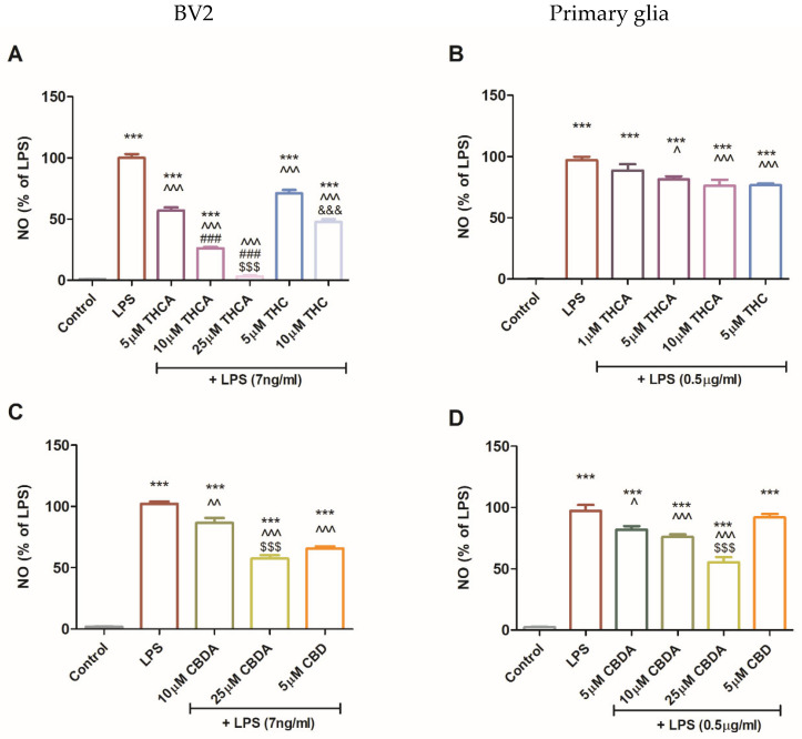 CBDA, THCA, and their neutral derivatives reduce glial NO secretion. BV2 cells (A,C) and primary mixed glial cultures (B,D) were incubated for 22 h with LPS (7 ng/mL for BV2 cells; 0.5 µg/mL for primary glia), with or without THCA or THC (A,B), or CBDA or CBD (C,D) at different concentrations (5, 10, 25 µM). NO levels in the culture medium were quantified, and the cells were counted at the end of the experiment. Data represents results from three independent experiments and are presented as means ± SEM (n ≥ 15). Statistical analysis was performed using one-way ANOVA followed by Tukey–Kramer multiple comparisons post hoc test. ***—p < 0.001 vs. control, ^^^—p < 0.001 vs. LPS, ^^—p < 0.01 vs. LPS, ^—p < 0.05 vs. LPS, ###—p < 0.001 vs. LPS + THCA 5 µM, $$$—p < 0.001 vs. LPS + CBDA 10 µM, &&&—p < 0.001 vs. LPS + THC 5 µM.
