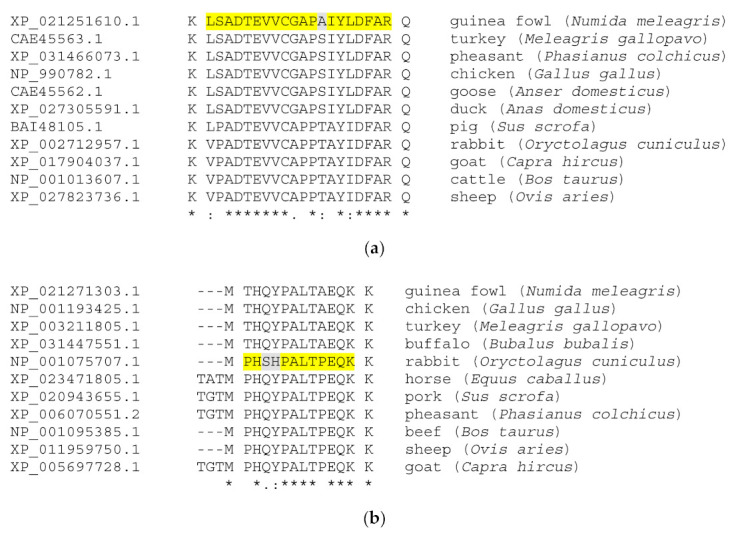 Clustal Omega protein multiple sequence alignment of guinea fowl- and rabbit-specific peptides: (a) triosephosphate isomerase (Numida meleagris) sequence fragment and (b) fructose-bisphosphate aldolase A (Oryctolagus cuniculus) sequence fragment. Identified species-specific heat-stable peptide markers are highlighted. Symbols in a multiple sequence alignment: an * (asterisk) indicates positions which have a single, fully conserved residue; a: (colon) indicates conservation between groups of strongly similar properties; a. (period) indicates conservation between groups of weakly similar properties.