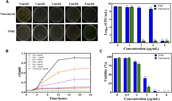 Influence of TFBZ on planktonic MRSA activity. (A) Colony photographs and average logarithmic changes of MRSA treated with different concentrations of TFBZ for 24 h. (B) Influence of TFBZ on MRSA growth curve dynamics. (C) Viability rate of MRSA treated with TFBZ for 24 h. Data are expressed as mean ± SD (n = 3). *p < 0.05, **p < 0.01, ***p < 0.001.