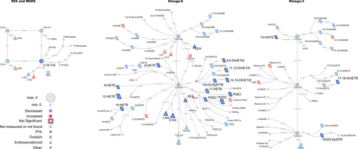 Lipid networks, illustrating acute exercise effects (0–10 min) on plasma metabolites in adult women, regardless of fitness and weight loss intervention. The biochemical network displays precursor–product relationships for fatty acids, oxylipins (OxL) and endocannabinoids (eCB) for related subclasses of fatty acid precursors including saturated and monounsaturated, omega‐6 and omega‐3 polyunsaturated fatty acids. The magnitude, direction and significance of changes are denoted by node size (the magnitude of the spearman correlation over the 10 min), border or fill colors (red, increased plasma concentration; blue, reduced plasma concentration), respectively. Significant changes are shown for lipids with p FDR values ≤.05 from mixed effects models. Non‐measured or undetected species are displayed in gray symbols with no borders