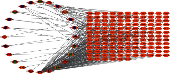 Drug-target-disease network diagram. The green dots represent the hemp kernel's compound molecule. The orange dots represent the molecular compounds in the saffron. The blue dots represent the compound molecules of Bupleurum. The red dots represent the compound molecules of Paeonia paeoniae. Each edge represents the interaction between the compound molecule and the target.
