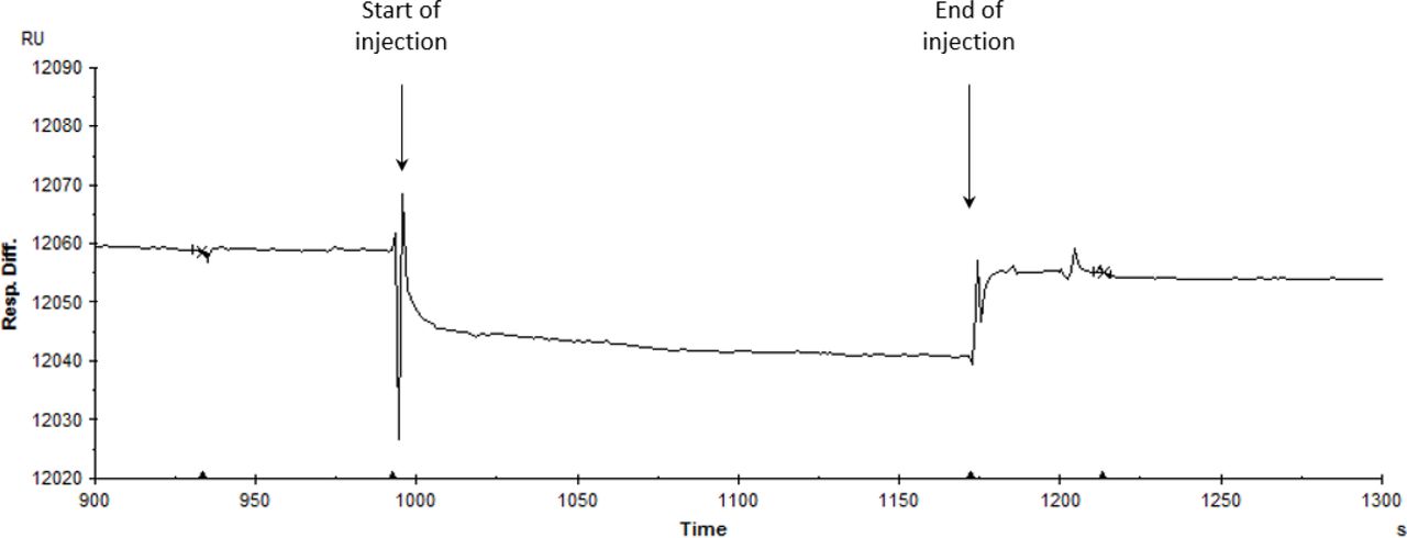 Assessment of the interaction between hKir2.1-WT and endocannabinoids.Single injection of ArEA at 50 μM on a His-tagged hKir2.1 captured by an anti-His antibody covalently immobilized-CM5 sensor chip (at 60 μL/3 min). The SPR response is expressed in response units relative to the time in seconds. The decrease in response difference (20 relative units RU) corresponds to the buffer effect and is indicative of no interaction.