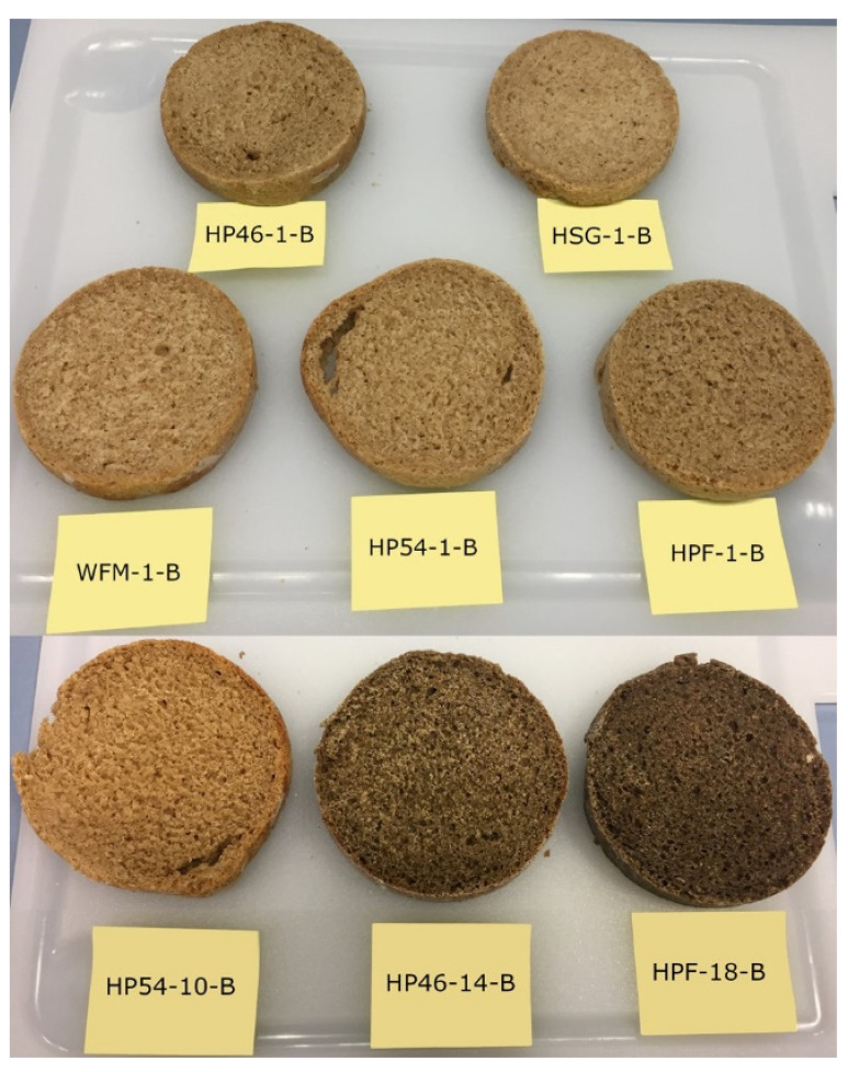 Breads (-B). HSG—hemp seed grit; HPF—hemp press cake flour; HP46—hemp press cake flour protein (46%); HP54—hemp press cake flour protein (54%); WFM—half-and-half mixture of wheat and whole wheat flour.