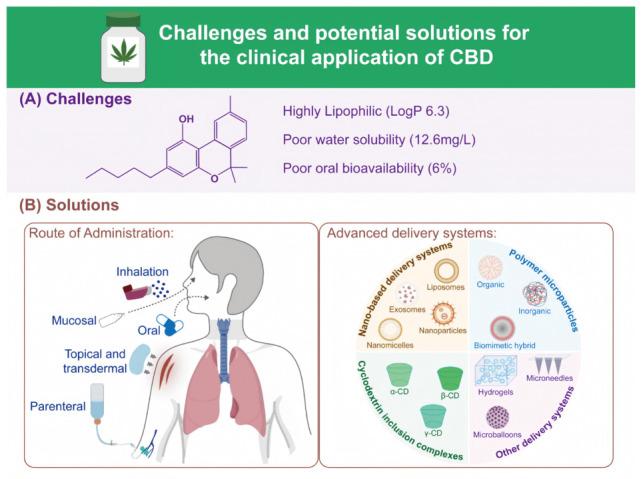 Challenges and potential solutions for the clinical application of CBD.