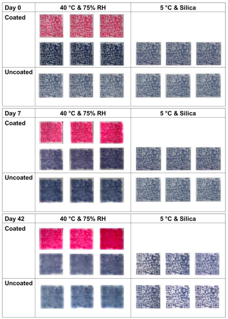 Photographs of DEEP, uncoated and coated, stored in two different conditions at 0 days, 7 days and 42 days of storage.