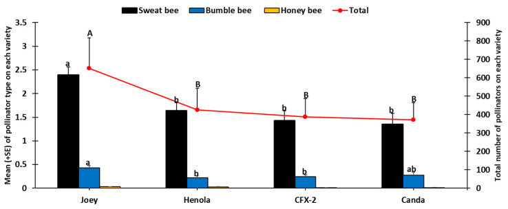 Abundance of pollinator types (bars) and total pollinators (line) from both visual and pan traps among the four industrial hemp varieties during the entire sampling period. Lowercase letters are used to compare means of each pollinator type among the four industrial hemp varieties. Uppercase letters are used to compare combined pollinator types among the four varieties. Means followed by the same letters are not significantly different (p > 0.05).