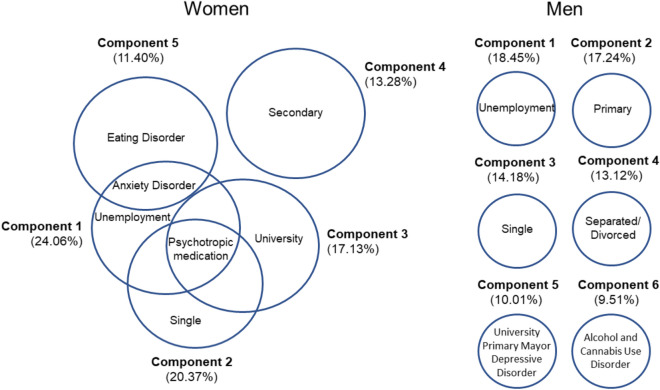 Exploratory principal component analysis for women and men. Differential gender profiles in patients attending outpatient treatment for cocaine use (N = 300). Six components together explained 82.7% of the variance that allowed describing the different profiles of men who attended outpatient treatment for cocaine use (Figure 2, right). Five components together explained 84.5% of the variance that allowed describing the different profiles of women who attended outpatient treatment for cocaine use (Figure 2, left).