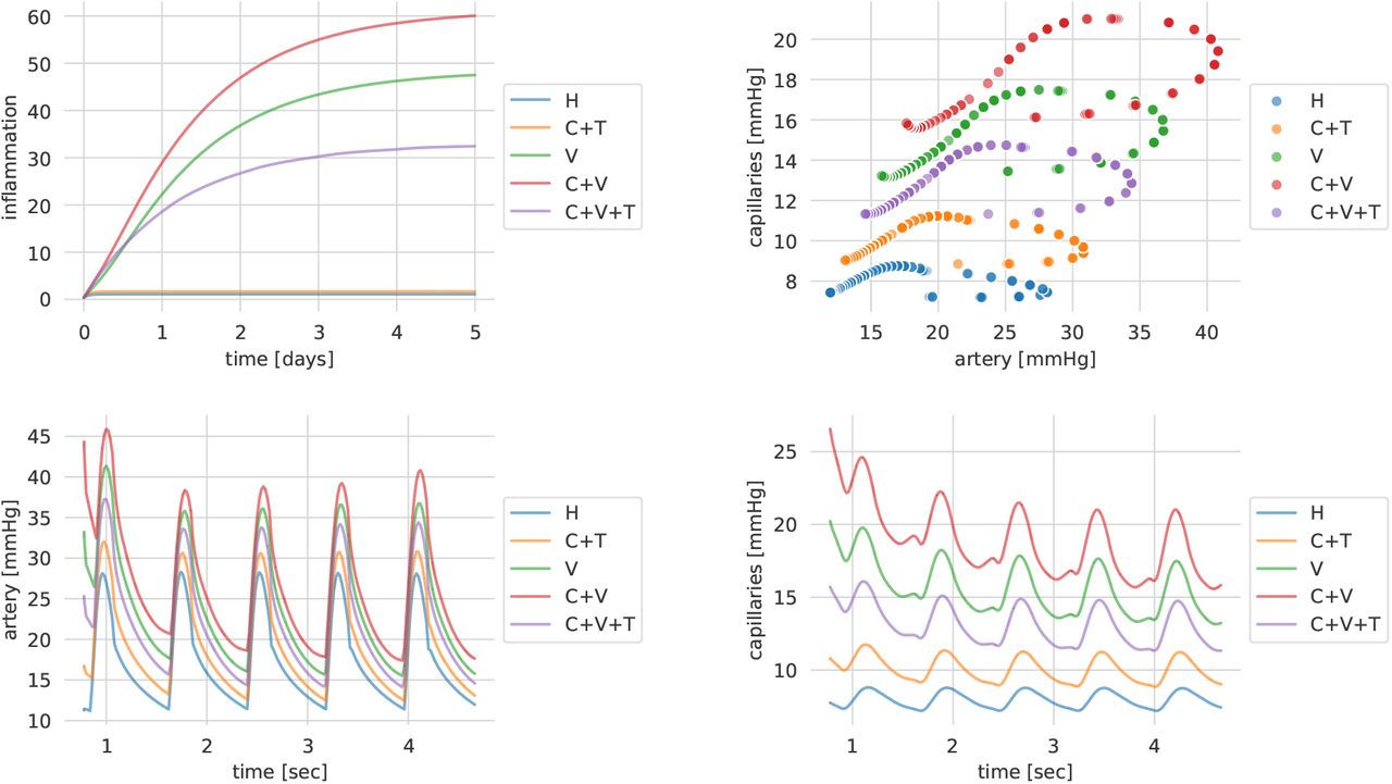 Inflammation scores (top-left, see Eq. 12), the corresponding lungs’ pressures phase space (top-right) and dynamics over time (bottom)