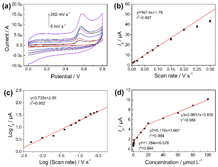 (a) CV of Fe3O4-NH2-GN/GCE in CBD solution at different scan rates. (b) The linear graph of Ip and scan rates. (c) The linear graph of log Ip and log (scan rate). (d) Plot of Ip versus concentration of CBD. CV method: 100 μmol L−1 of CBD in 10 mmol L−1 of PBs (pH 5.0, containing 10% methanol). Potential range of 0–0.8 V. Scan rate of 0.05 V s−1.