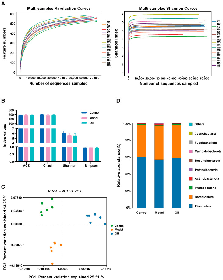 16S rRNA gene sequencing analysis of fecal microbiome. (A) Rarefaction and Shannon curves. (B) Alpha diversity indices. (C) PCoA score plot. (D) Relative abundance of gut microbiota at the phylum level.