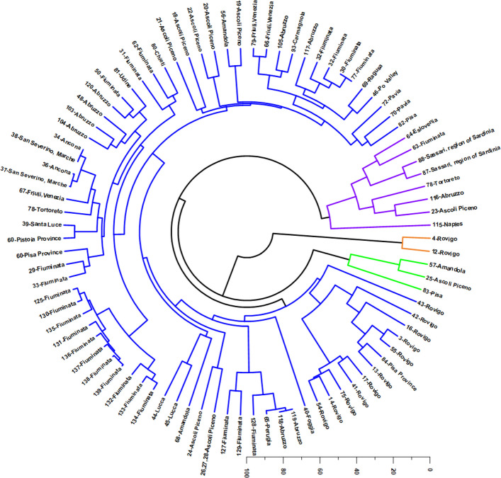 Hierarchical Cluster Analysis (HCA) of Italian Cannabis volatile-oil samples based on the relative abundance of 25 major terpenoids (≥ 5% in at least one sample).. The circular dendrogram resolves four main chemotypic clusters (color-coded): (i) a sesquiterpene hydrocarbon profile dominated by E-β-caryophyllene and α-humulene (blue); (ii) a monoterpene-rich profile characterized by myrcene and α-pinene, with relevant contributions of limonene and β-pinene (purple); (iii) an oxidized sesquiterpene profile dominated by caryophyllene oxide and caryophylla-4(14),8(15)-dien-5-ol (orange); and (iv) a terpinolene-dominant monoterpene profile (green). Reference codes for each site are provided in Supplementary Table SS2