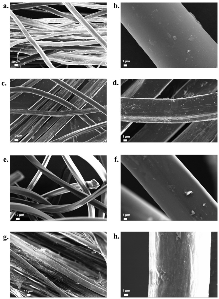 SEM morphological observations for different untreated and treated flax fibres: (a,b) FNT; (c,d) FT-MIN; (e,f) FT-MED; (g,h) FT-MAX.