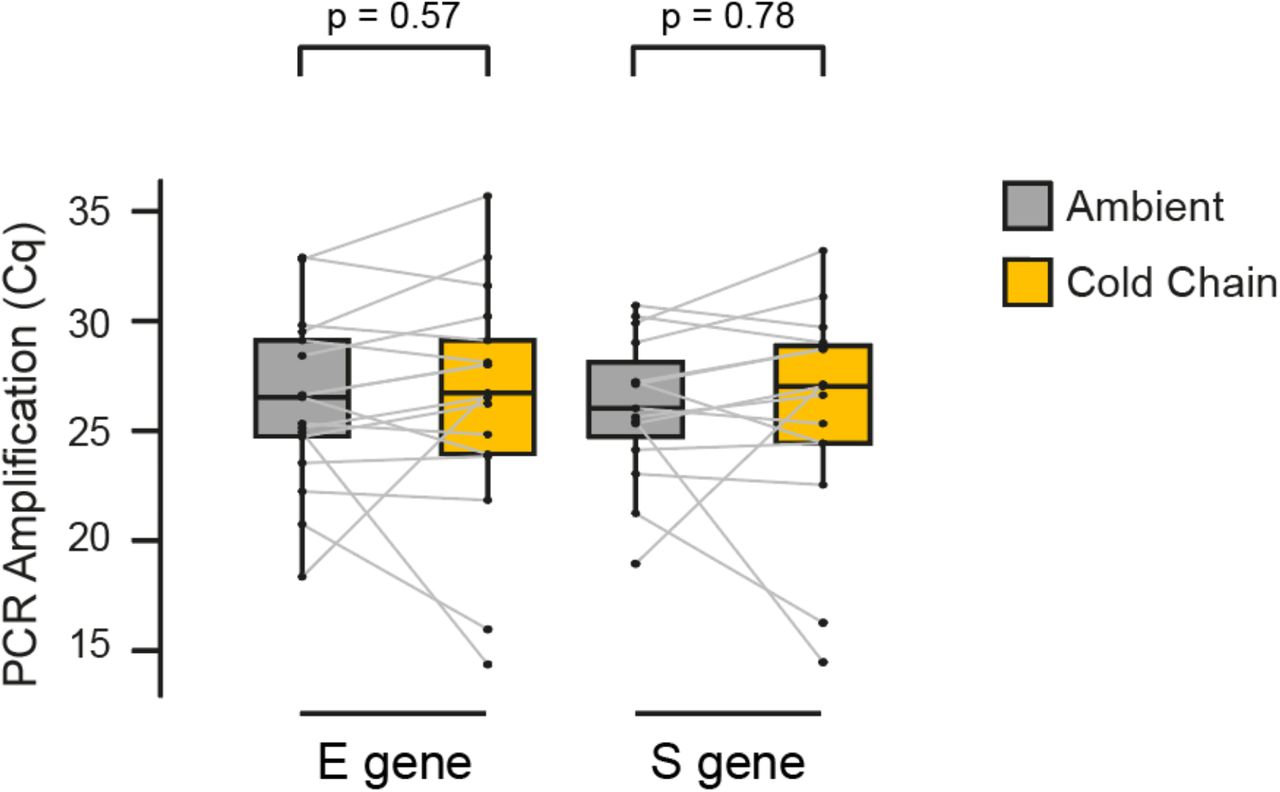Effect of shipping conditions on SARS-CoV-2 RNA stability in saliva samples.Comparison of Cq values (E gene and S gene) in paired saliva/NTS samples following shipment to the laboratory under room temperature (RT) or cold chain (CC) conditions. P values are for a two tailed Wilcoxon test.