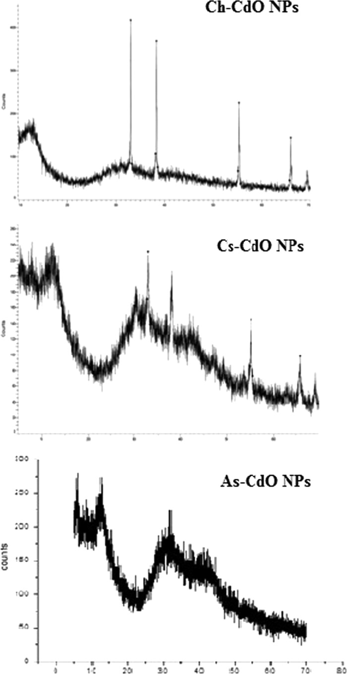 XRD pattern of CdO nanoparticles synthesized through the green chemistry and co-precipitation method: Ch-CdO NPs (nanoparticles synthesized by chemical method), Cs-CdO NPs (nanoparticles synthesized by C. sativa), and As-CdO NPs (nanoparticles synthesized by A. scoparia).