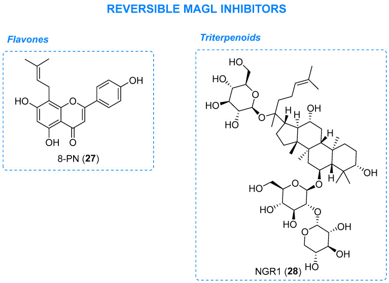 Natural reversible MAGL inhibitors.