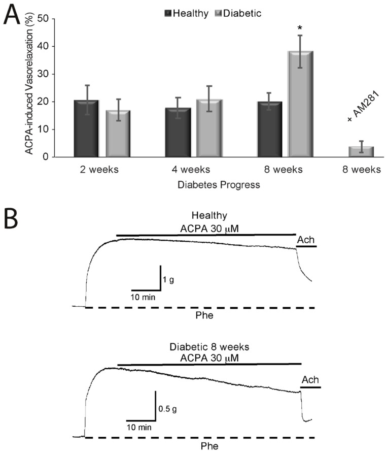 Vasorelaxant effect of arachidonylcyclopropylamide (ACPA) on healthy and diabetic rat aortic rings. (A). Summary of the vasorelaxant effect induced by ACPA at different times after diabetes induction. Dark bars correspond to healthy rats, and gray bars correspond to diabetic rats after 2, 4 or 8 weeks after Streptozotocin administration. The effect of ACPA when cannabinoid receptor type 1 (CB1) receptors were blocked with AM281 is shown in the last gray bar. * Significant (p < 0.05) change in tension compared to Phe precontraction. (B) Isometric tension recording of phenylephrine (Phe)-induced contraction of aortic rings. The top lines indicate exposure to ACPA. Upper trace: vasorelaxant effect of ACPA on a healthy ring. Lower trace: effect of ACPA on a diabetic ring. The relaxation of tension was measured at 60 min of ACPA treatment. The vasorelaxant effect was more pronounced in aortic rings from diabetic rats than those from healthy rats (n = 5 rats).