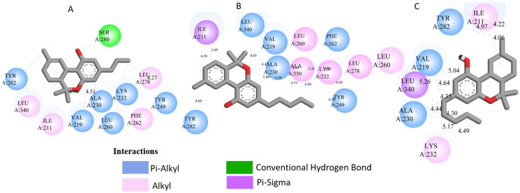 Molecular docking interactions of Cannabis sativa phytoconstituents with the TGF-β receptor (PDB ID: 3TZM): (A) C5, (B) C6, and (C) C7.