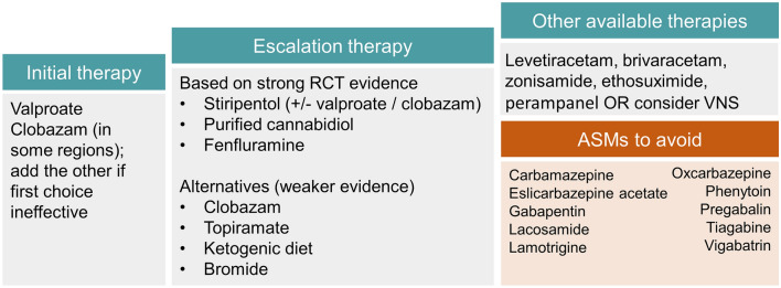 Treatment pathway in patients with Dravet syndrome.Adapted from Cross et al. [124]. The choice of treatment is dependent on the drug availability and recommendations in different countries, patient needs and characteristics, and patient/caregiver values and preferences. ASMs anti-seizure medications, RCT randomised controlled trial, VNS vagus nerve stimulation
