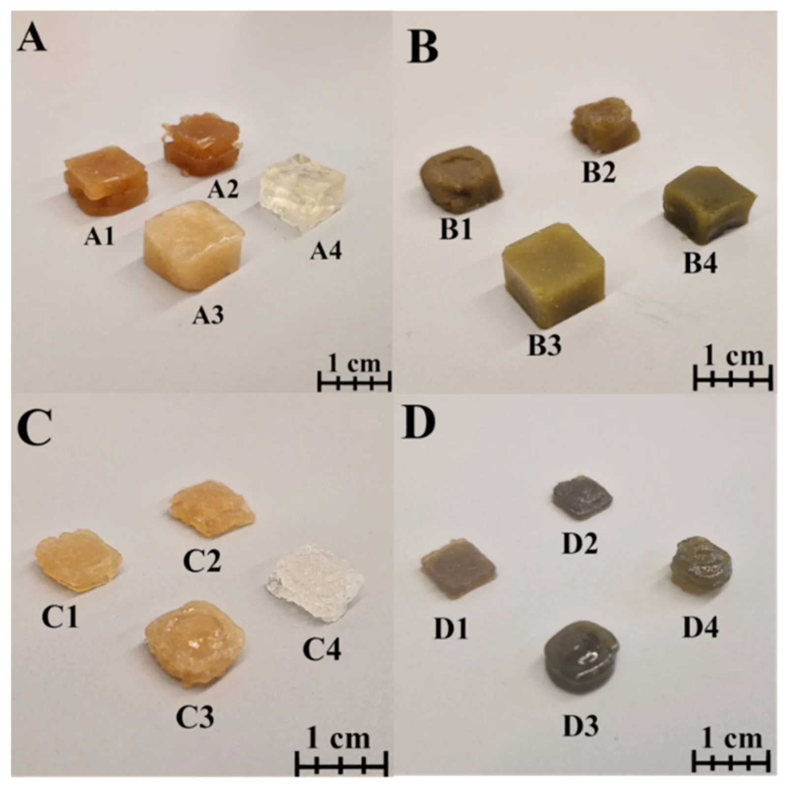Visual comparison of moulded tablets and printlets prepared with different polymer pair combinations (arranged in the same order as Figure 2). (A) Control group moulded tablets: A1 (agar–pectin), A2 (HPMC–pectin), A3 (gelatine–pectin), A4 (HPMC–gelatine). (B) Experimental group moulded tablets (with APIs): B1 (agar–pectin), B2 (HPMC–pectin), B3 (gelatine–pectin), B4 (HPMC–gelatine). (C) Control group printlets: C1 (agar–pectin), C2 (HPMC–pectin), C3 (gelatine–pectin), C4 (HPMC–gelatine). (D) Experimental group printlets (with APIs): D1 (agar–pectin), D2 (HPMC–pectin), D3 (gelatine–pectin), D4 (HPMC–gelatine).