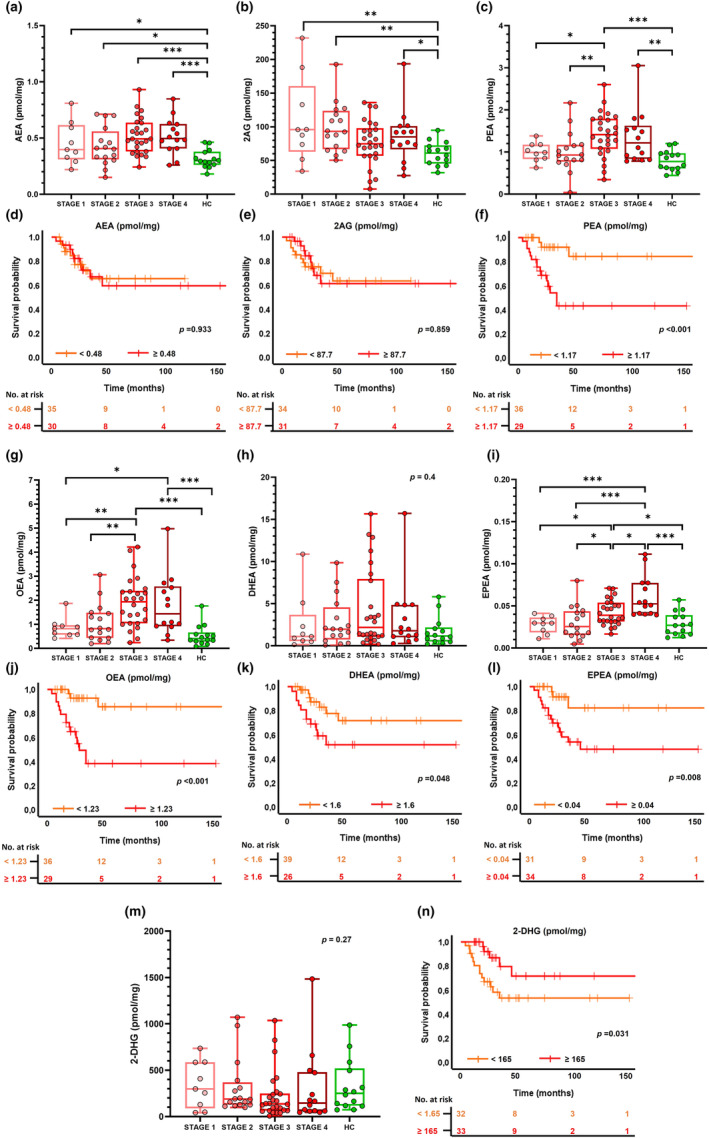 Circulating eCBome mediator levels across ALS clinical stages and their association with survival. Box‐and‐whisker dot plots of serum levels of eCBome mediators (expressed as pmol/mg of lipid extract weight) in healthy controls (HCs) and the ALS group divided according to King's clinical stages (Stage 1, Stage 2, Stage 3, Stage 4) and Kaplan–Meier curves of survival probability for AEA (a), (d), 2‐AG (b), (e), PEA (c), (f), OEA (g), (j), DHEA (h), (k), EPEA (i), (l) and 2‐DHG (m), (n). Group comparisons were performed only for the four ALS clinical stages by means of the non‐parametric Kruskal–Wallis test, and post hoc comparisons by means of the Mann–Whitney U test using Bonferroni correction. *Significant p < 0.05; **significant p < 0.01; ***significant p < 0.001. 2‐AG, 2‐arachidonoylglycerol; 2‐DHG, 2‐docosahexaenoylglycerol; AEA, N‐arachidonoylethanolamine; DHEA, docosahexaenoylethanolamide; EPEA, eicosapentaenoylethanolamide; OEA, oleoylethanolamide; PEA, palmitoylethanolamide.