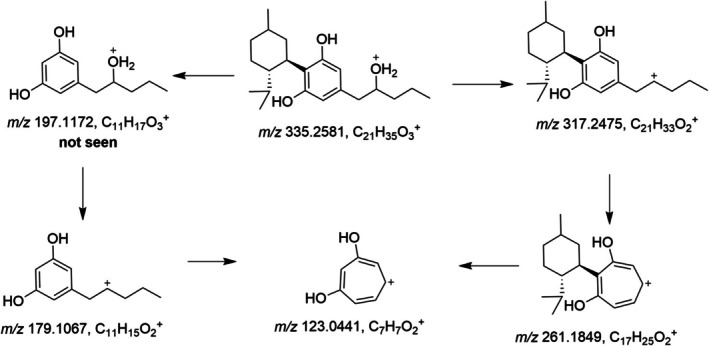 Possible fragmentation pathway of 2″OH‐H4CBD (metabolite M6).