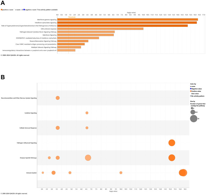 Chart A displays a ranked bar graph showing canonical pathways names versus -log10 p-value. Pathways are color-coded based on expression: positive (orange) or negative (blue) z-score, and those without activity patterns. Chart B features bubble plots of the number of genes that overlap with major pathway categories (y-axis) and their -log10 p-value (x-axis). Bubble size represents the number of genes in each pathway, with color indicating expression patterns (increase = orange and decrease = blue).