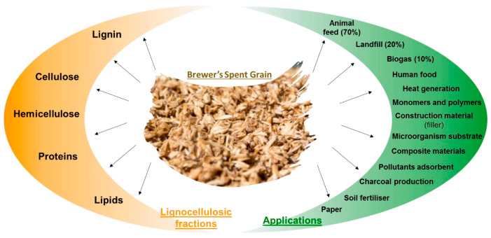 Fractions present in BSGs’ lignocellulosic biomass and their potential applications [14].