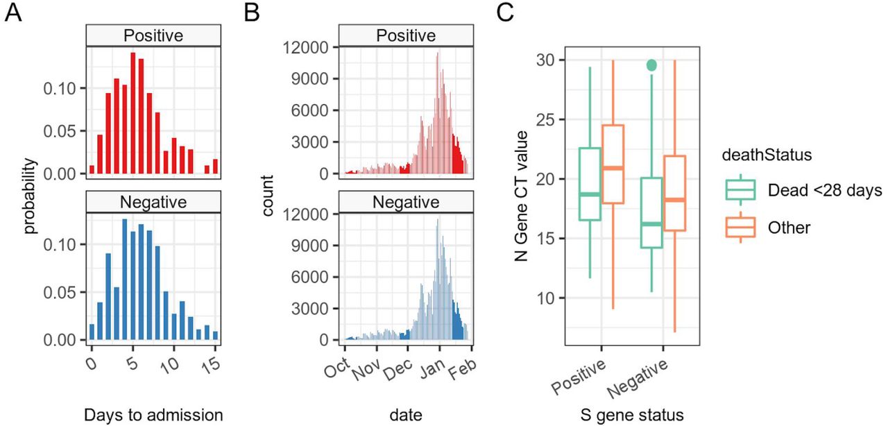 Investigation of biases in the exposed and non-exposed arms. In panel A we see no discernible pattern in the delay between specimen date and hospital admission in patients who subsequently died. In panel B we see the date distribution of the specimens in our matched pairs of S-gene positives and negatives - concentrated in December and January. In panel C we see median N-gene CT values for both S-gene positives and negatives, demonstrating lower CT values in the initial tests of those who subsequently died, and in those with S-gene negative infections.